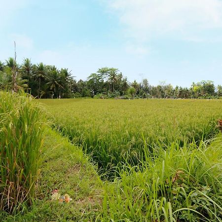 Thantha Ubud Villa Kültér fotó